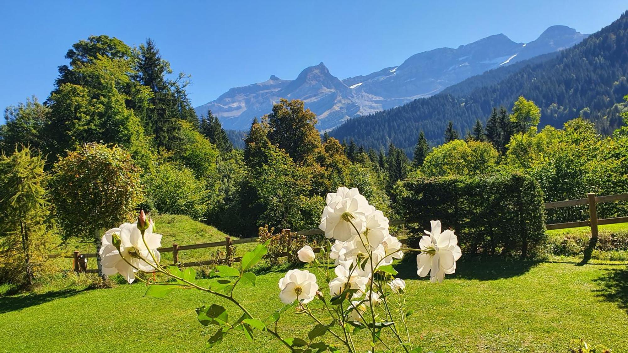 B&B Chalet La Croisee Vers L'Eglise ภายนอก รูปภาพ